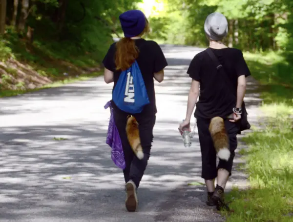 Therians e teriantropia.