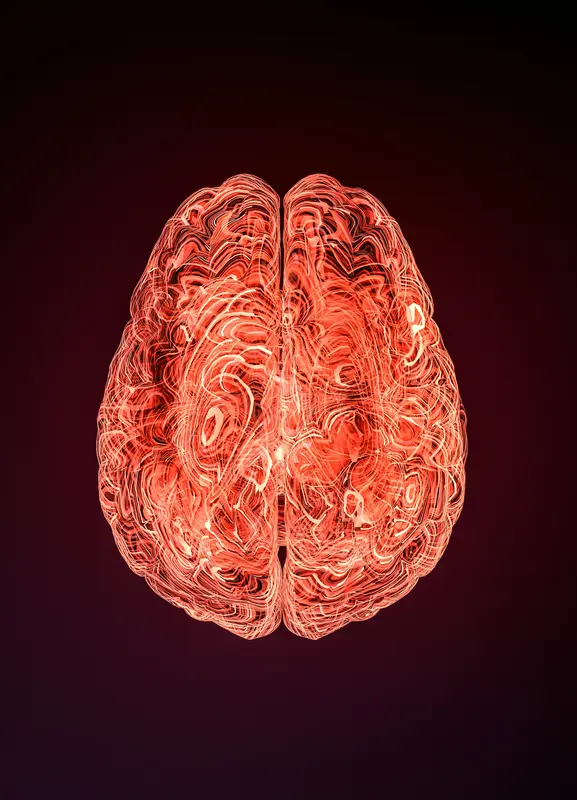 Cérebro estilizado em fechos de luz e avermelhado. Uma alusão ao Brain hot